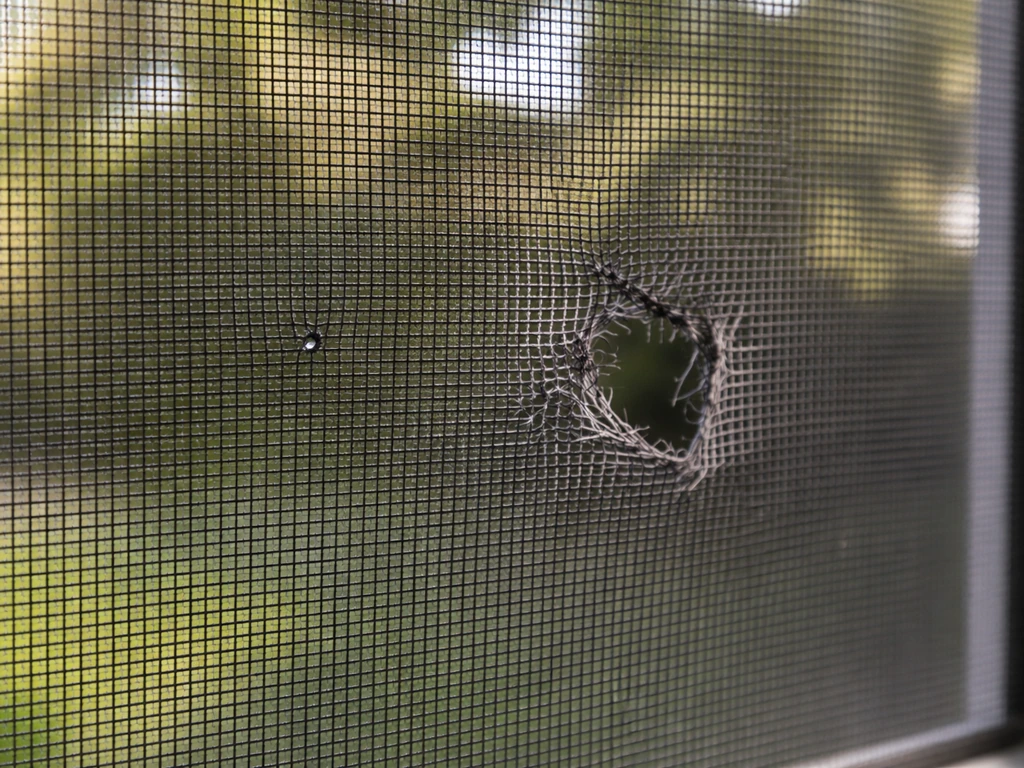 Close-up of a patio screen with a small pinhole tear and a nearby larger rip in simple natural light.